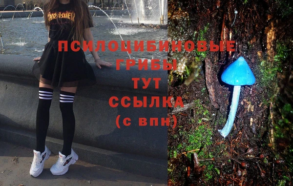 бошки Волосово