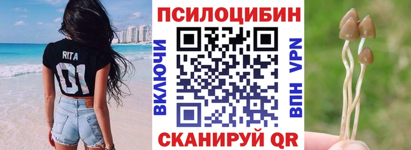 Галлюциногенные грибы Cubensis  hydra ССЫЛКА  Иланский 